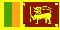 Tenders From Sri Lanka